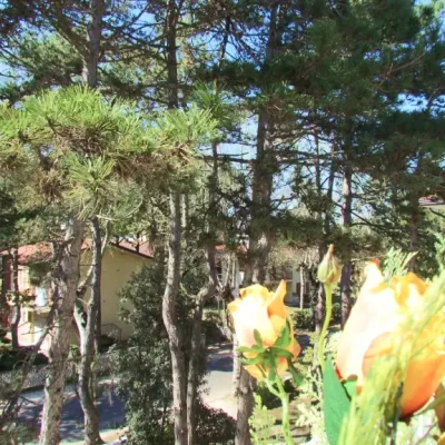 appartamento 5 08 appartamento 5 08